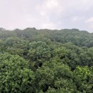 陈宁馨