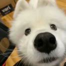 李先生